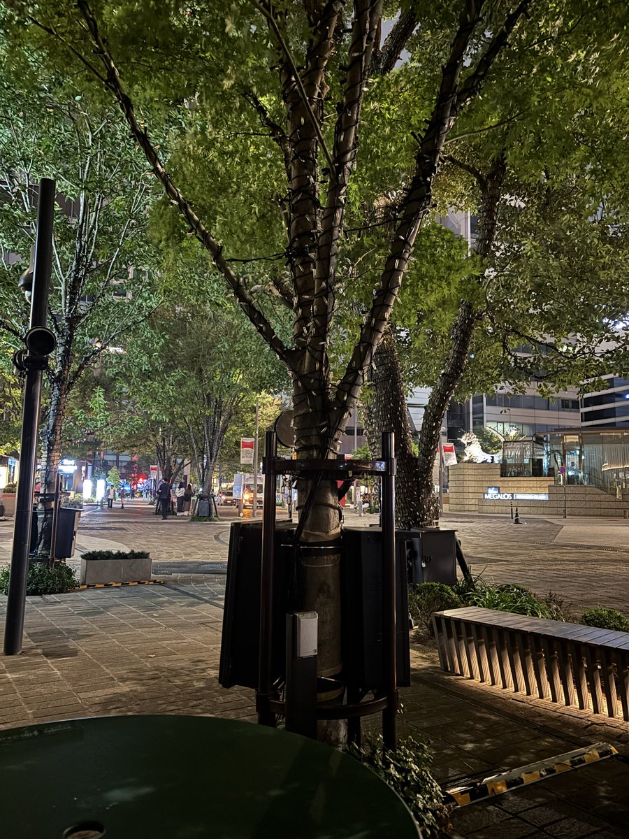 inuinuinu_3's tweet image. 過ごしやすい気候があまりにうれしくてぼーーーーーーーーっとしてきた
だいたい22℃_φ(･_･