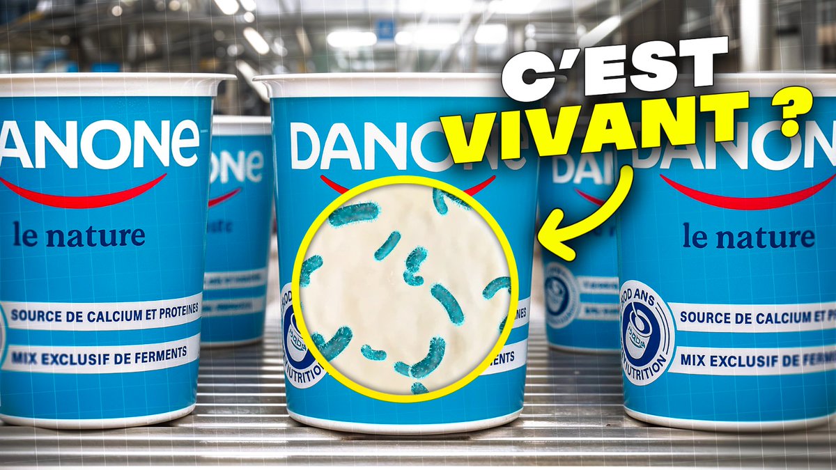 🚨 Nouvelle vidéo ! J'ai été dans une usine de yaourts pour vous montrer comment ils sont fabriqués ! 👇
youtu.be/NTOAoyuGVAI?si…