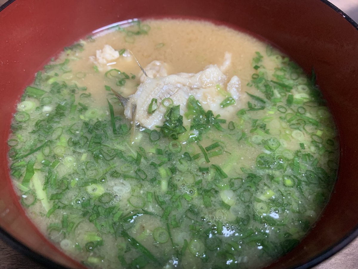 カワハギの料理です。
絶対に食すべきなのが、肝醤油を付けて食べる薄造り。肝はサッと湯掻いて冷やし、裏漉しして醤油と和えます。
左の小皿は。お刺身を切る前に引く薄皮を、オリーブオイルと塩胡椒で炒めた物。アラの味噌汁。
どれも美味しく頂きました♪
 #釣り #カワハギ #釣魚料理  #肝醤油