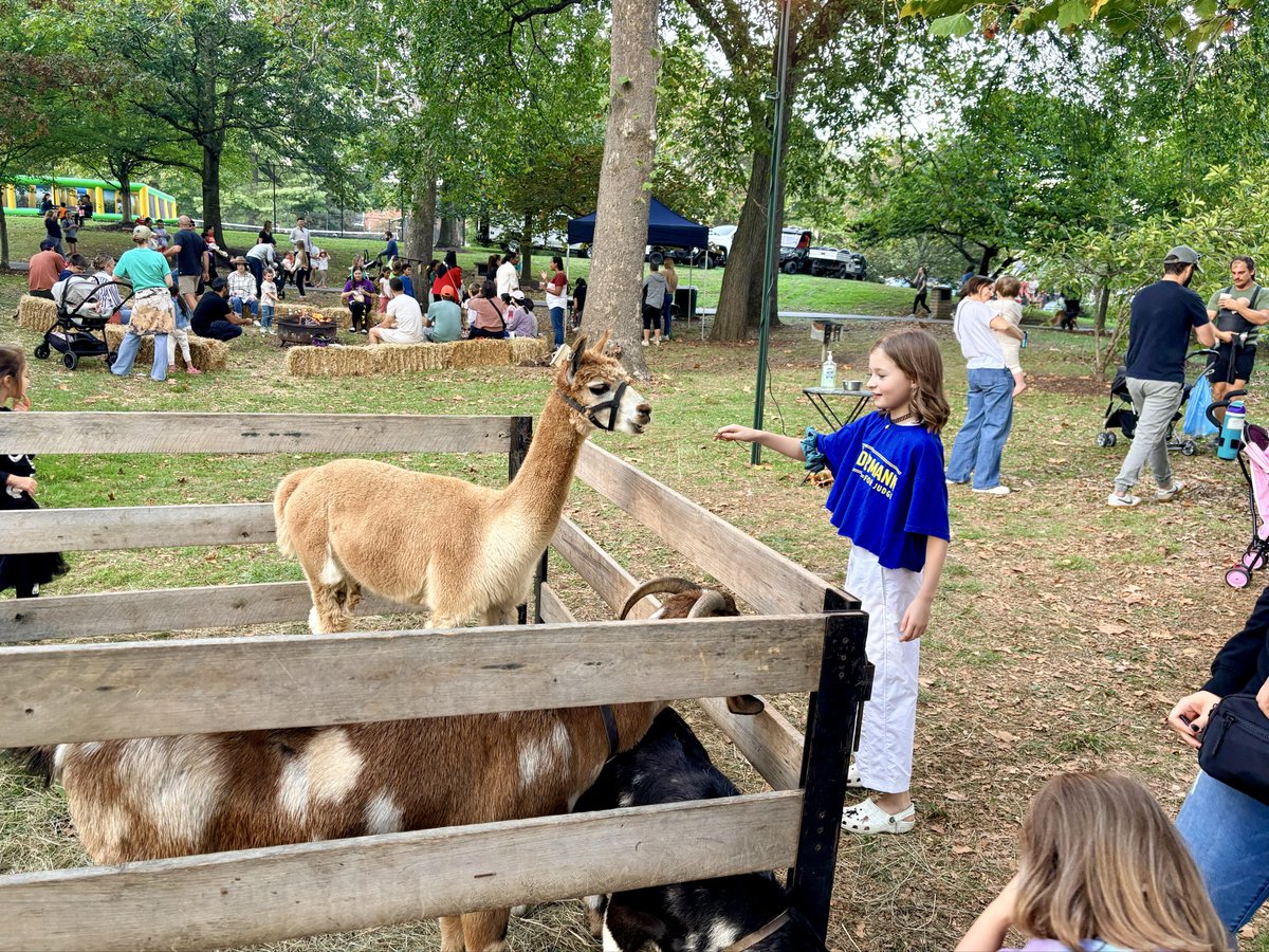 Judge Betsy Sundermann tweet media