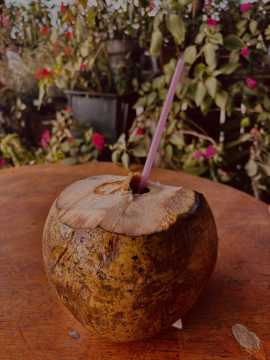aylingarevalos's tweet photo. Mi lugar feliz forever ✨🥥🤎🧴🐚 https://t.co/zDeDkXku0w