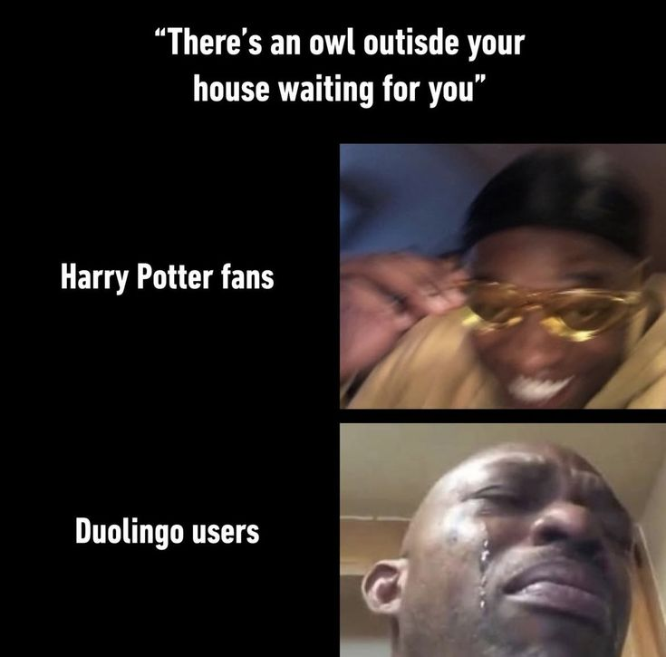 Znalezione przypadkiem. #HarryPotter #duolingo #mem