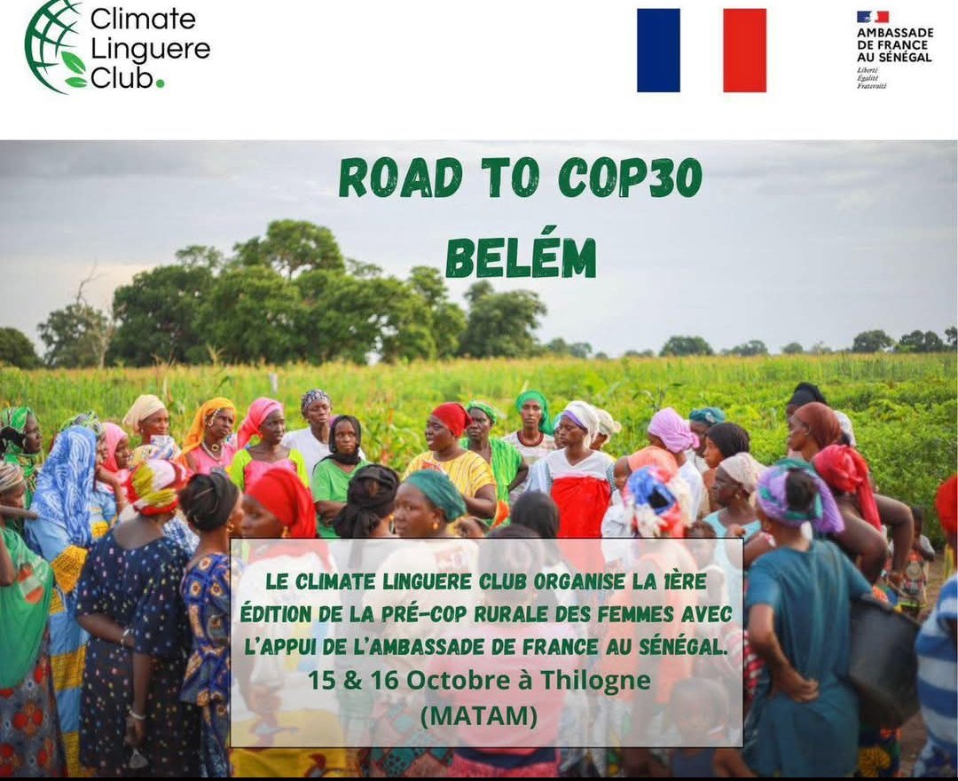 FayeLam8's tweet image. Le Climate Linguere Club, avec le soutien de  l’Ambassade de France au #Sénégal, organise la première édition de la Pré-COP rurale des femmes le 15 et 16 octobre à Thilogne (#Matam), dans le cadre de la préparation à la #COP30 à #Belém. 
#Shift
#ActForChange
@FranceoSenegal