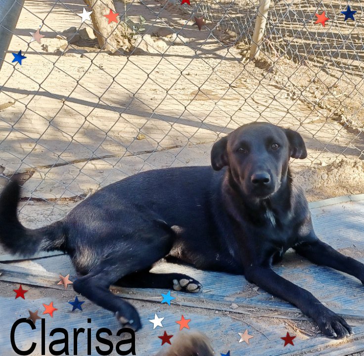 El Refugio de Brown tweet media