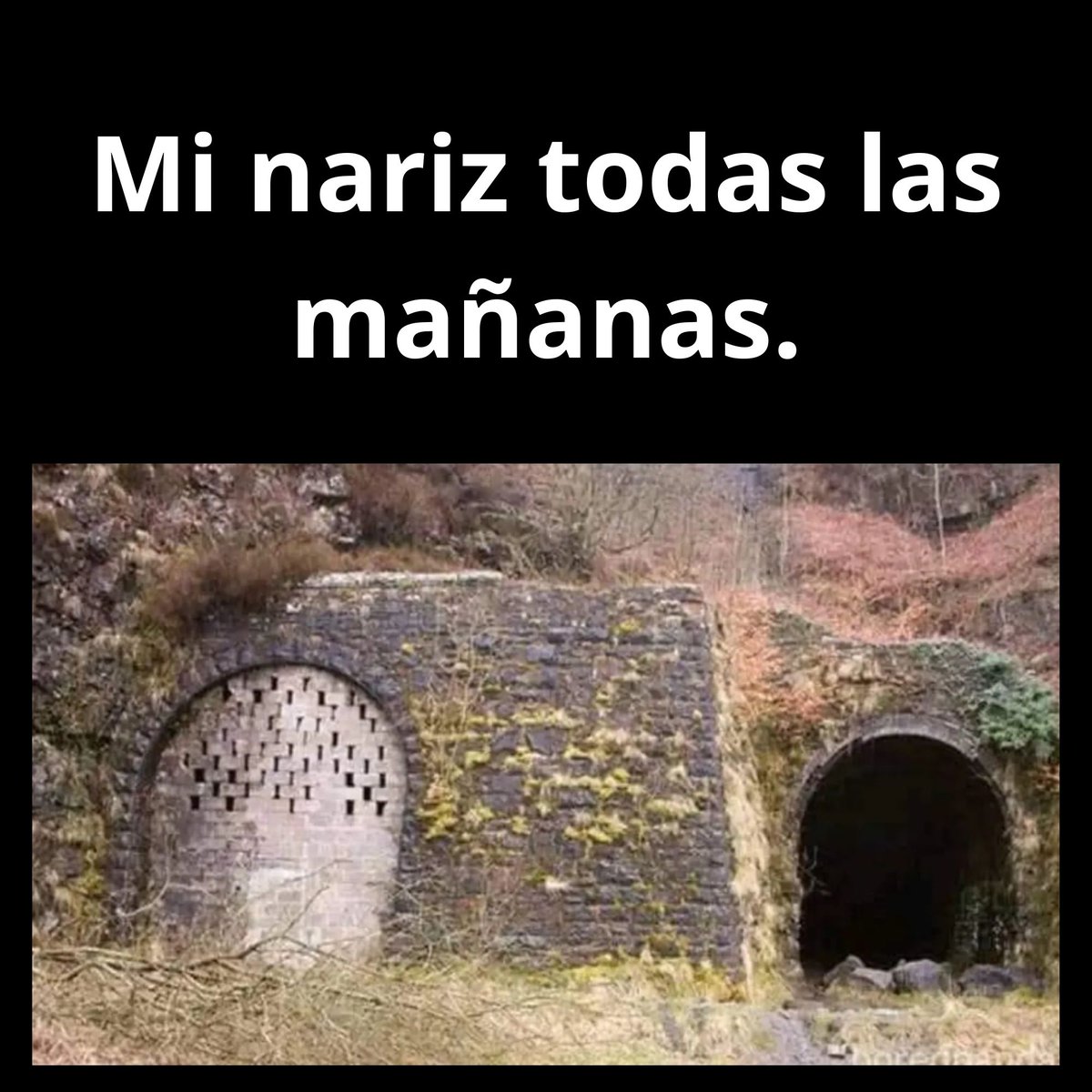 RincnCuriosoo's tweet image. 