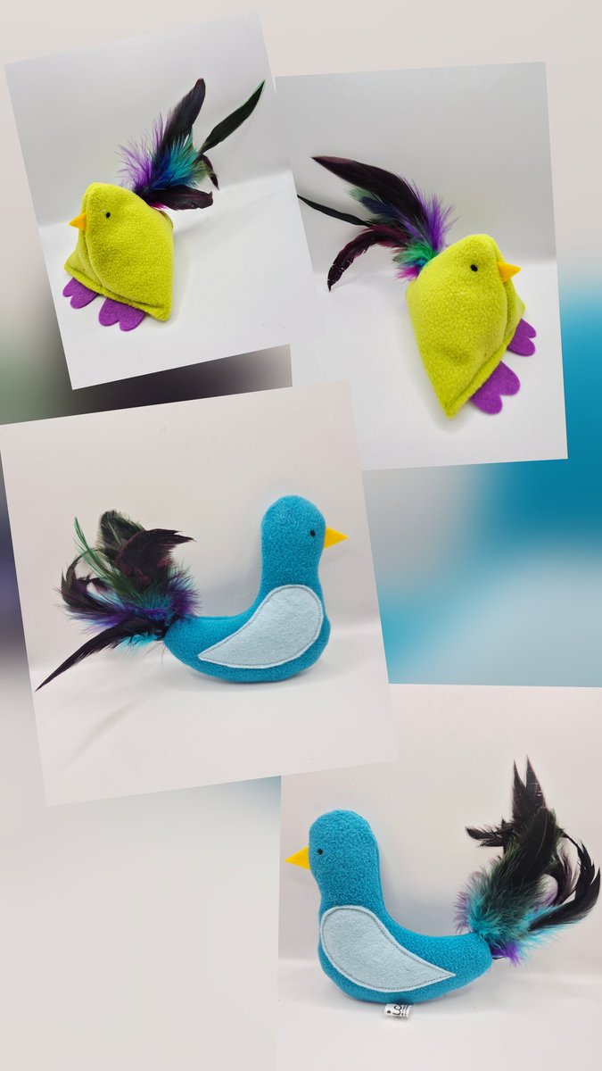 Birdies 🐦🐤clasicats.etsy.com/listing/429554…
#CatsOnTwitter 
#CatsOnX 
#CatsOfX 
#catsoftwitter 
#cats
#etsyshopuk
#catnip