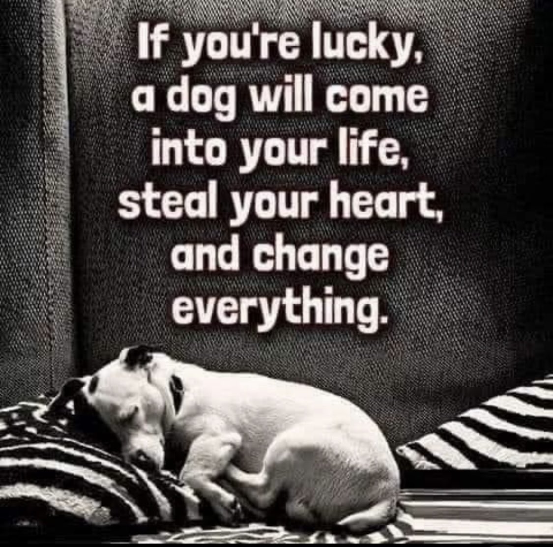 patricialuckyme's tweet photo. @domdyer70 https://t.co/MRneDWOrE0