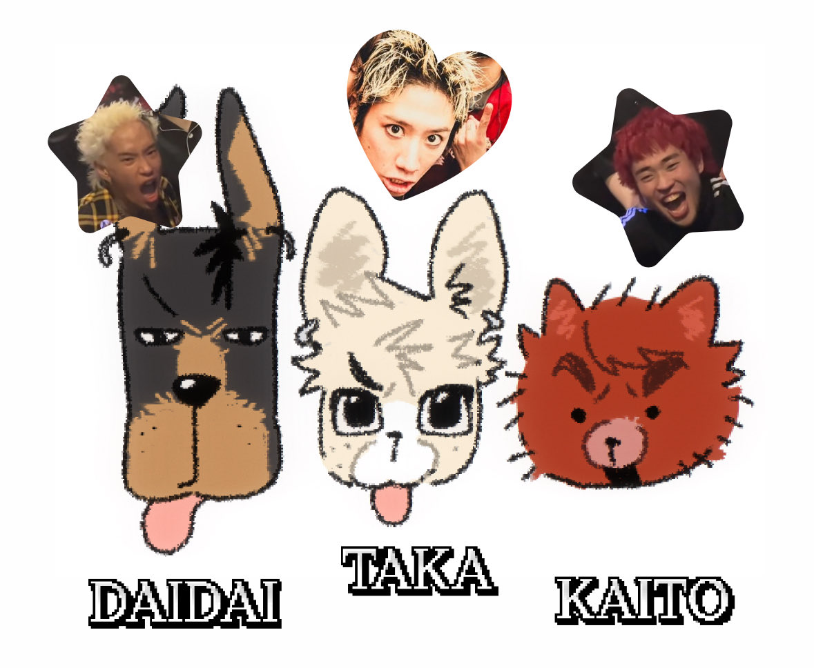 dog？dog！