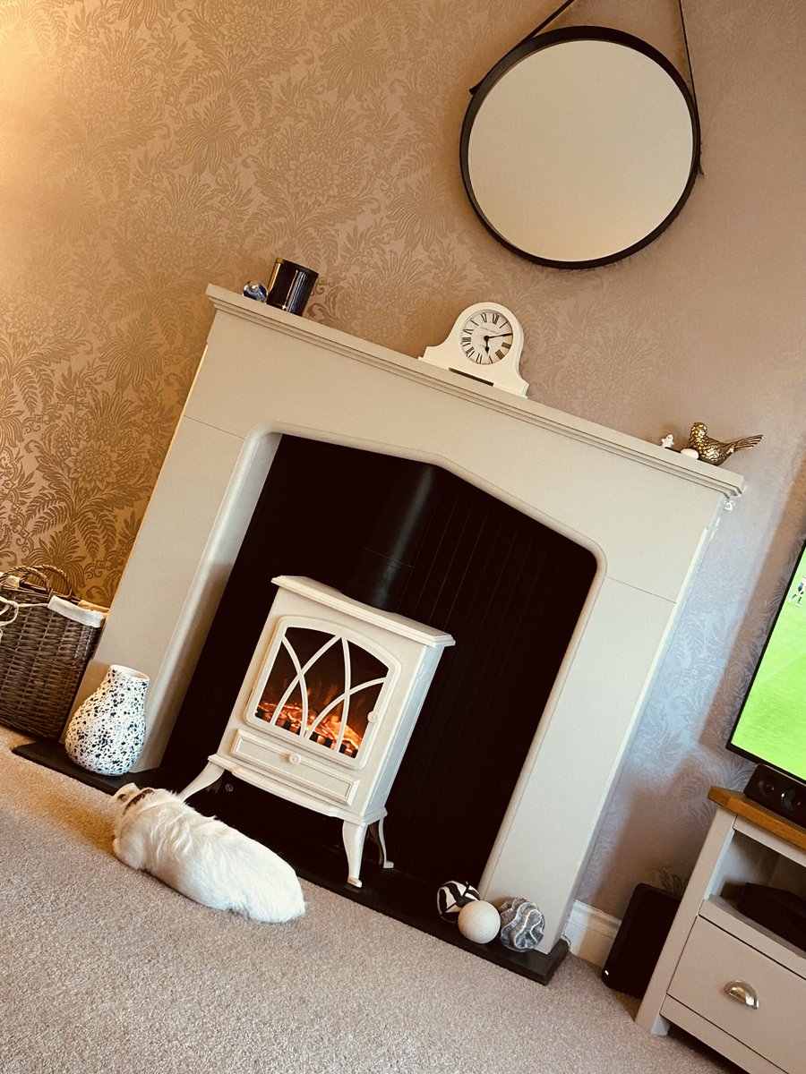 richnotts1's tweet image. Put the fire on for a bit for the 1st time this year while watching the jocks 🏴󠁧󠁢󠁳󠁣󠁴󠁿 ⚽️ … immediately adopted 🐶 😊 by someone …. #sundayvibes  #cider 🍎