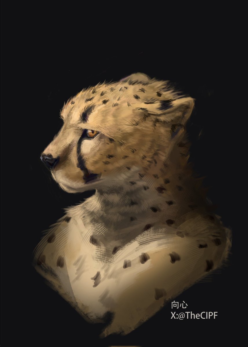 向心 (@thecipf) on Twitter photo 