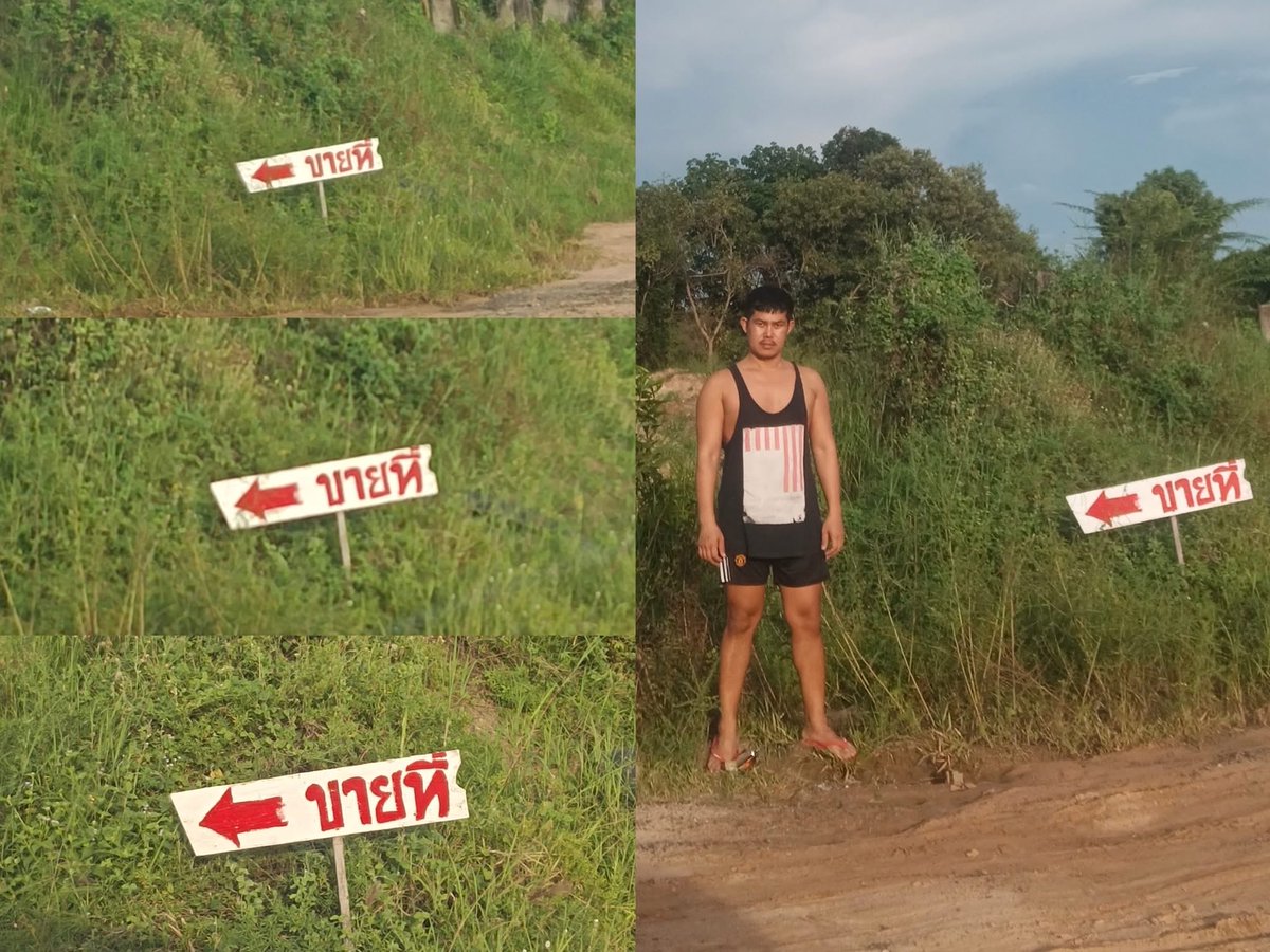Thaireactionvid's tweet image. ตามกฎวิทยาศาสตร์ ระยะทางมีผลต่อการมองเห็น