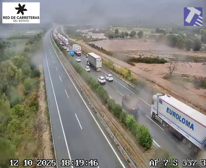 Multi-lane highway AP-7 with stopped white and blue trucks including one labeled EuroLoma, cars pulled over on the shoulder, visible water flooding the road surface and grassy median, overcast sky, distant fields and hills, official Red de Carreteras del Estado logo and timestamp 12-10-2025 18:19:46 at bottom.