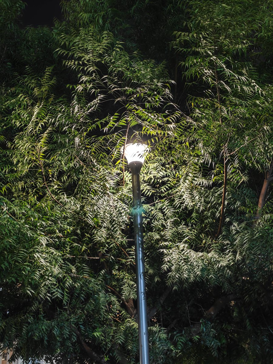 stufflistings's tweet image. Xiaomi 17 Pro vs iPhone 17 Pro (Low light)
1, 3 are taken on the Xiaomi, which has consistently better results when it comes to Greens and focus.