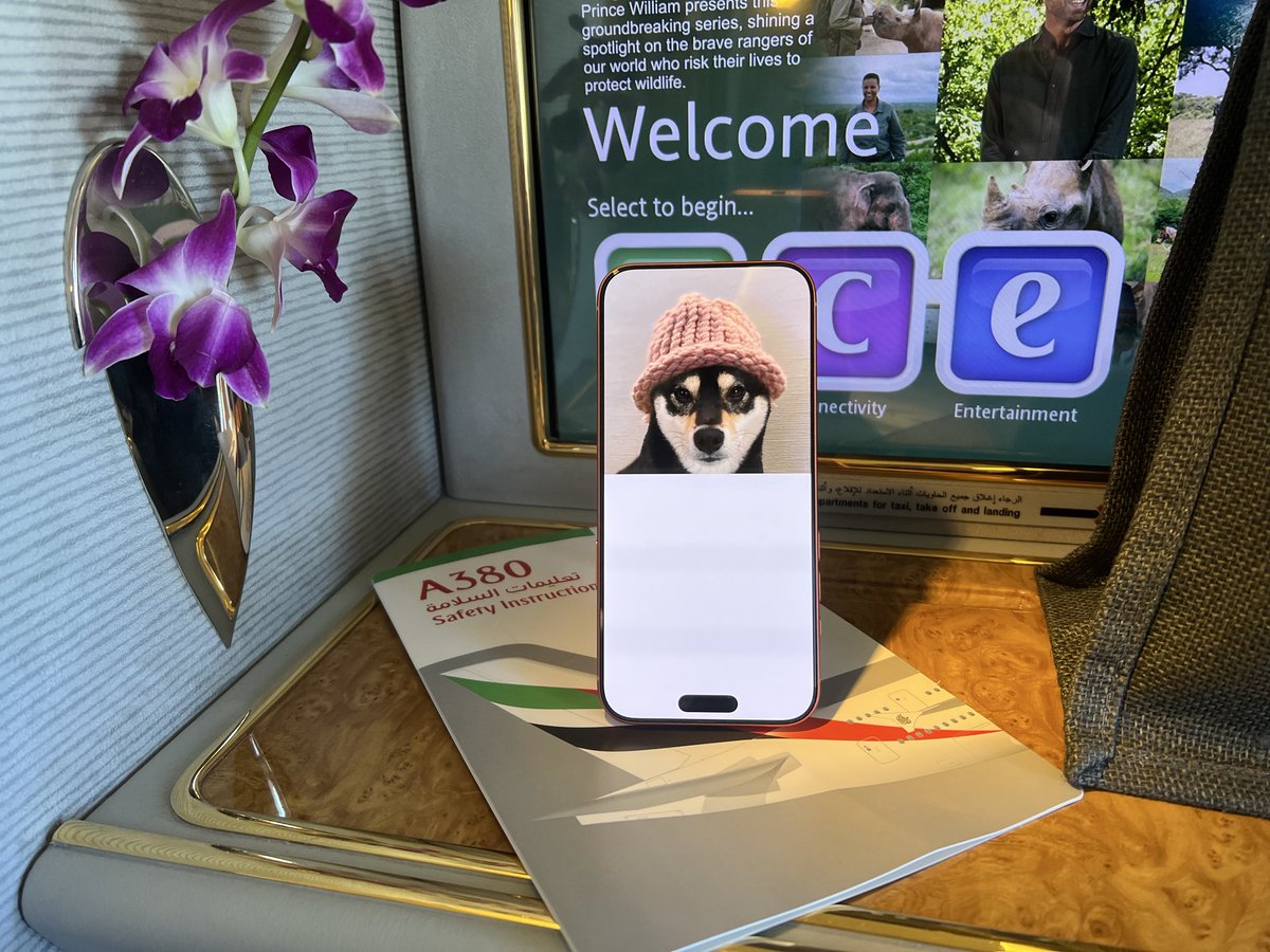 Enjoyed a lovely flight with Emirates in their A380 First Class product! Sometimes the best thing you can do during market crashes is simply buy the dip on good assets and touch grass.

Featuring, as always, my beloved Goma from <a href="/GomaFanClub/">GomaFanClub</a>.