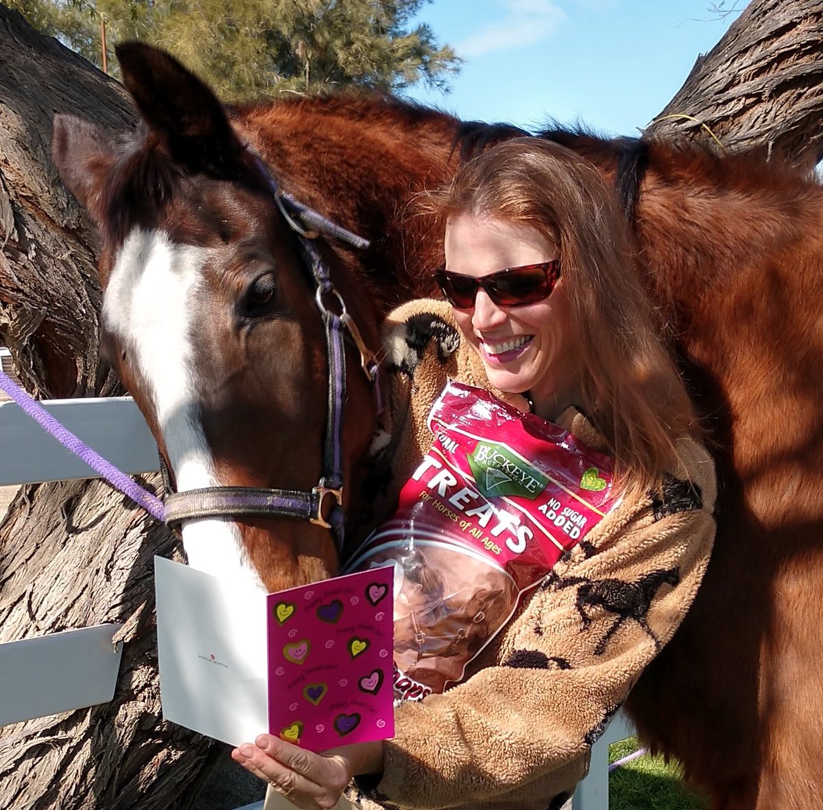 GloriousAllianc's tweet image. Smoothie was rescued by #TeamSmoothie and enjoyed reading his cards from his fans all over the world. Smoothie came back from neglect to canter in the arena and become a leader to the young herd. He realized his dreams on earth.…