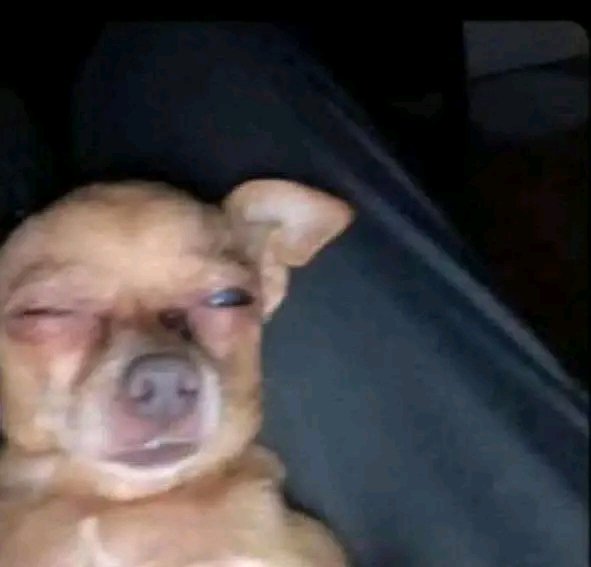Checking the bet history at 2 a.m 😂😂