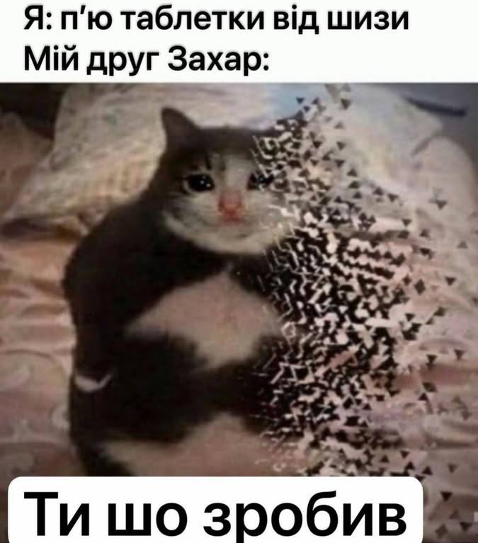 Сметанат борщу (@smetanatborschu) on Twitter photo 