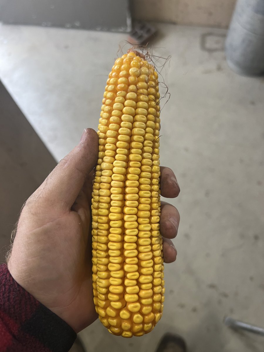 Allen Parrish tweet media