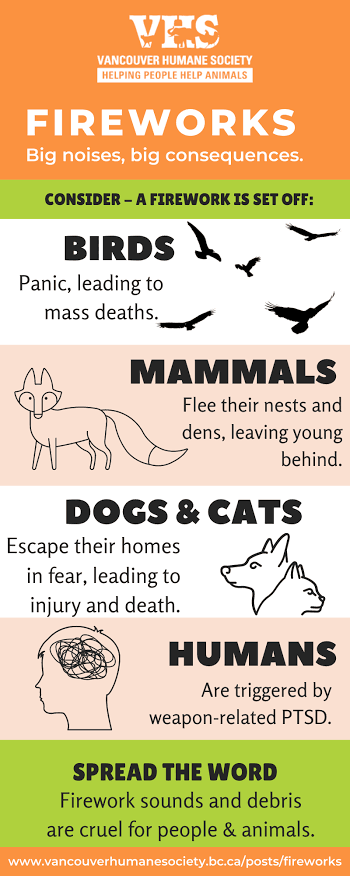 Every spark in the sky = death for the birds above.
Many crash into buildings disoriented by light &amp; noise.
Your celebration is their last flight. 💔
#CrueltyFreeDiwali #FirecrackerBan #SayNoToCrackers