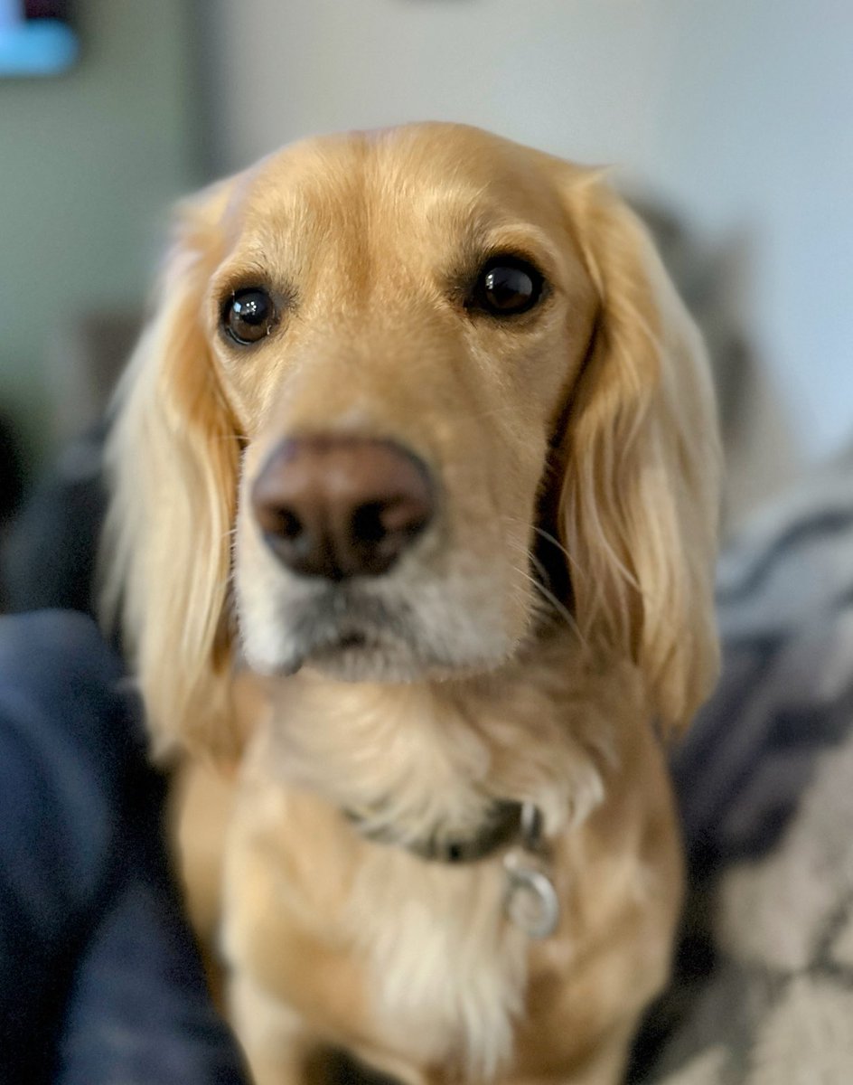 So, let me get this straight:
You go to work for 5 days and then only don’t go for 2.
That’s not good maths.