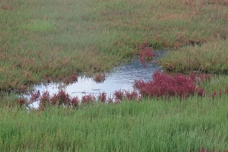 Bazen, birinin yokluğuna o kadar alışırsın ki.. Başka birinin gelip o boşluğu doldurmasından korkarsın. 

Balzac