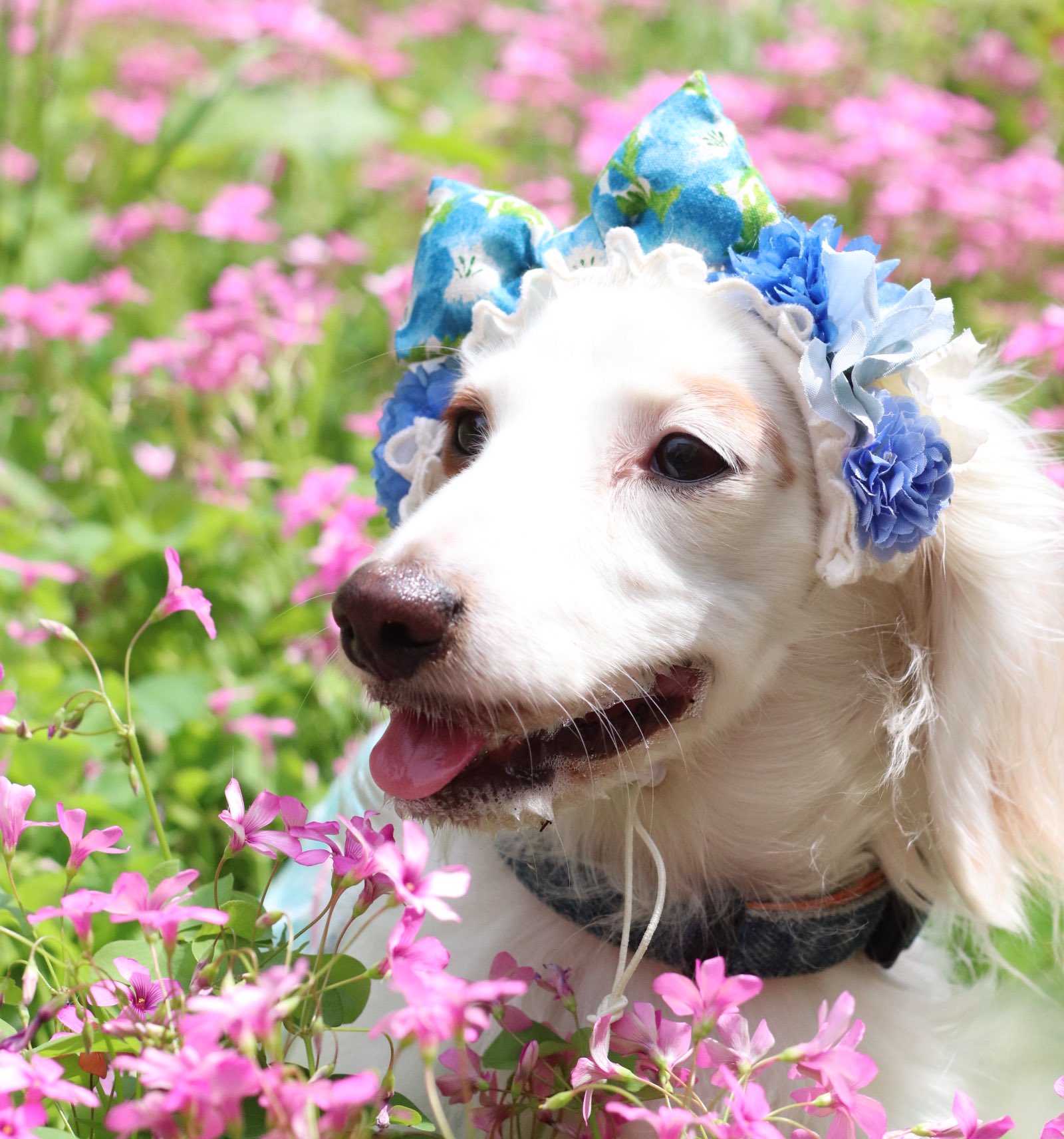 ❤️いっちゃん🧡 (@8eight88888) / X