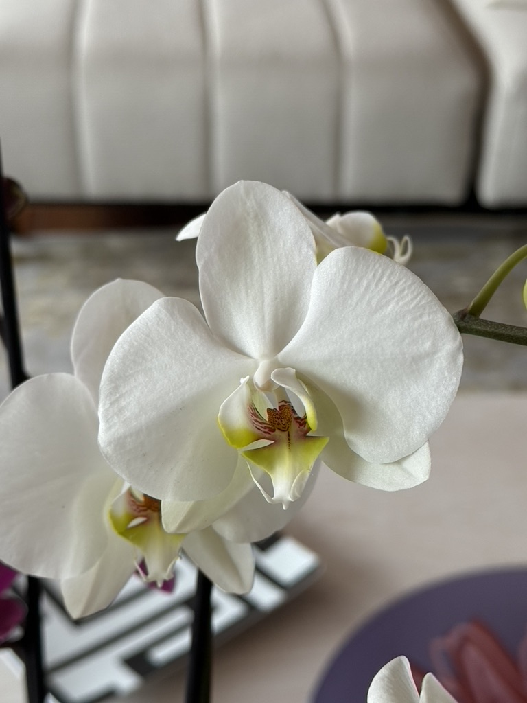 #PrimeroLaEconomia. #ProgresistaSigueProgresista

🇨🇳 China usa las baterías como nueva herramienta de presión comercial sobre EE. UU.

China ha encontrado una nueva forma de ejercer influencia económica sobre Estados Unidos: las baterías.
A partir del 8 de noviembre, el gobierno