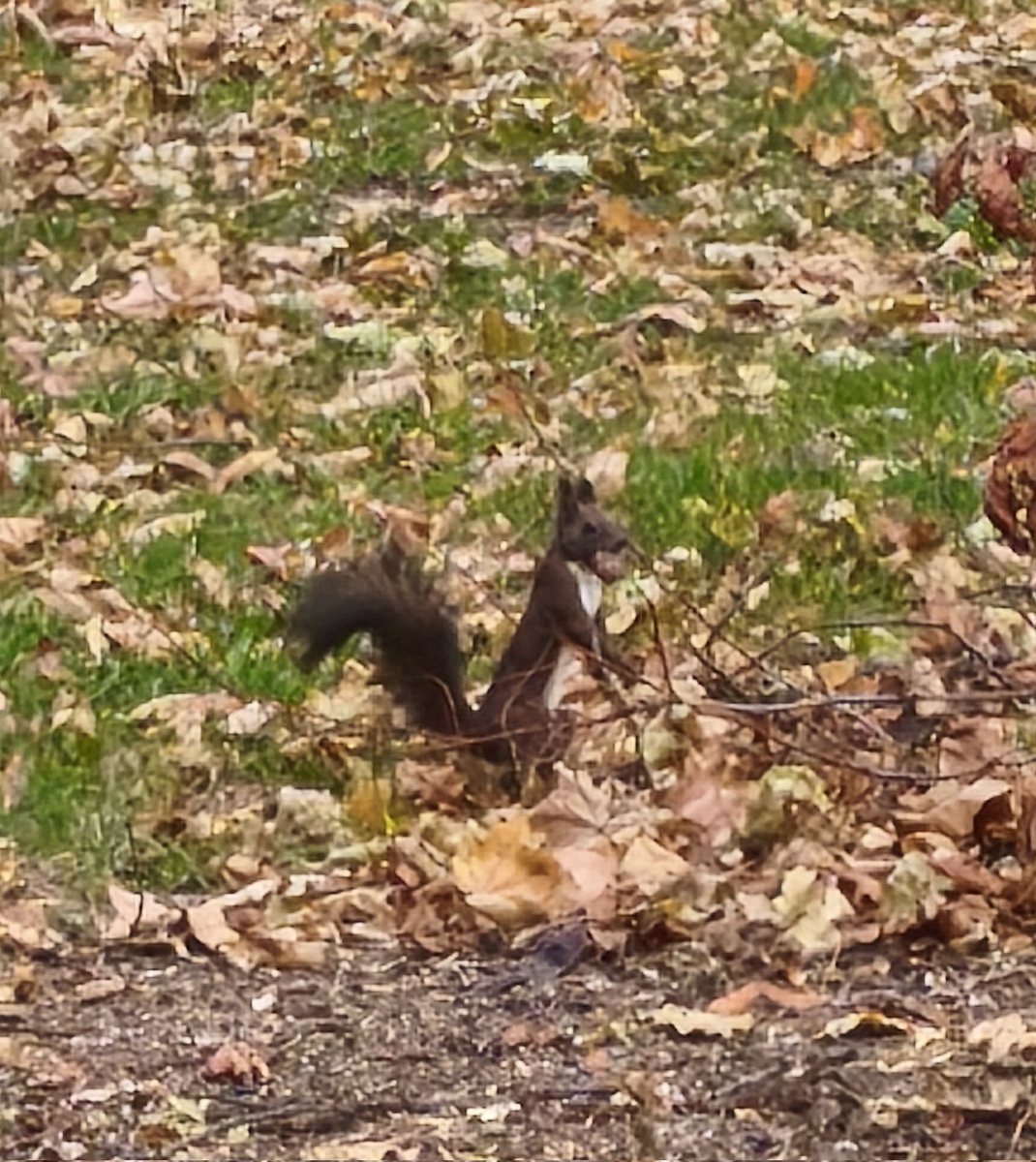 HumoroidM's tweet image. 