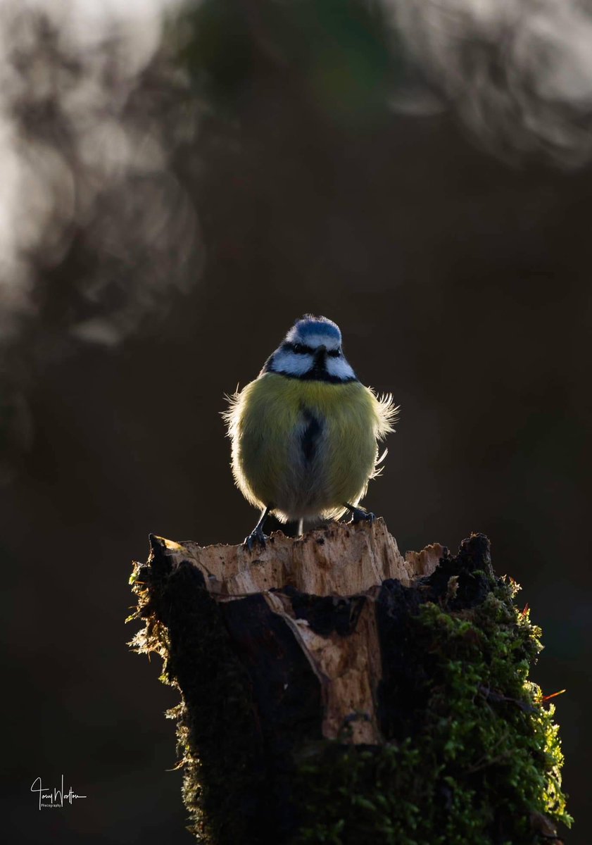 Nice when they give you a pose..