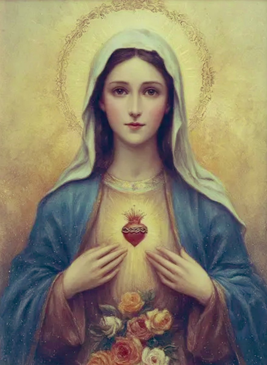 GrainneMcD92925's tweet image. Immaculate Heart of Mary, cause of our joy, pray for us 🕊️