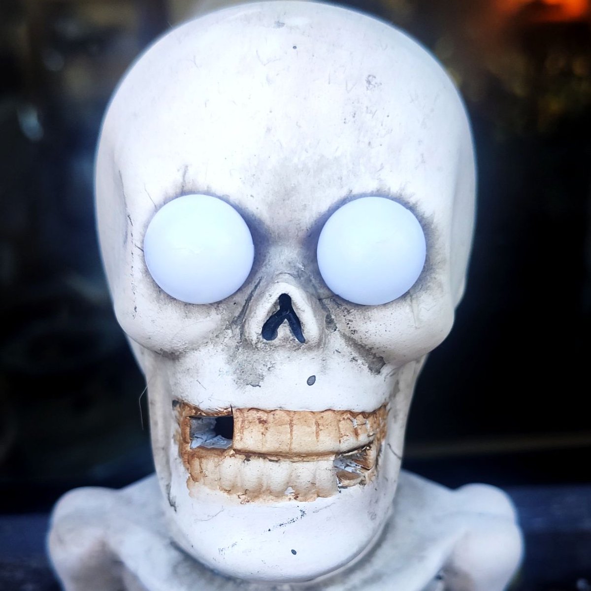 #Halloween 

Je n'sais pas vous, mais j'ai commencé ma déco et à réécouter la playlist UCLA 🎃 bit.ly/3KJNrJf