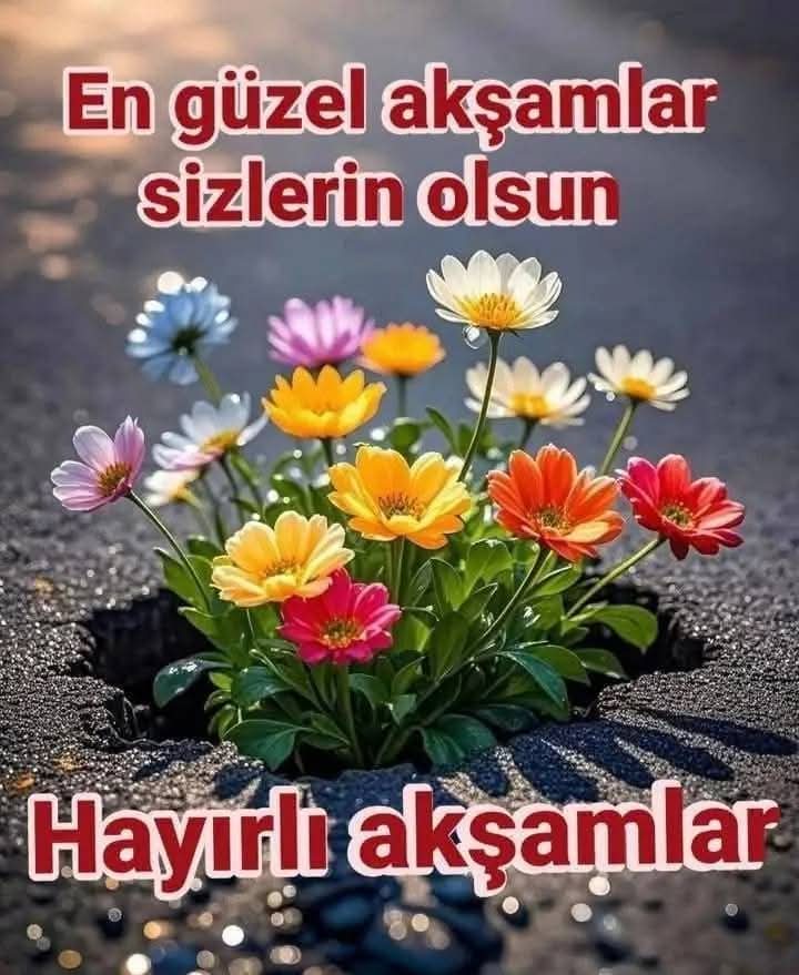 Hayırlı huzurlu mutlu akşamlar