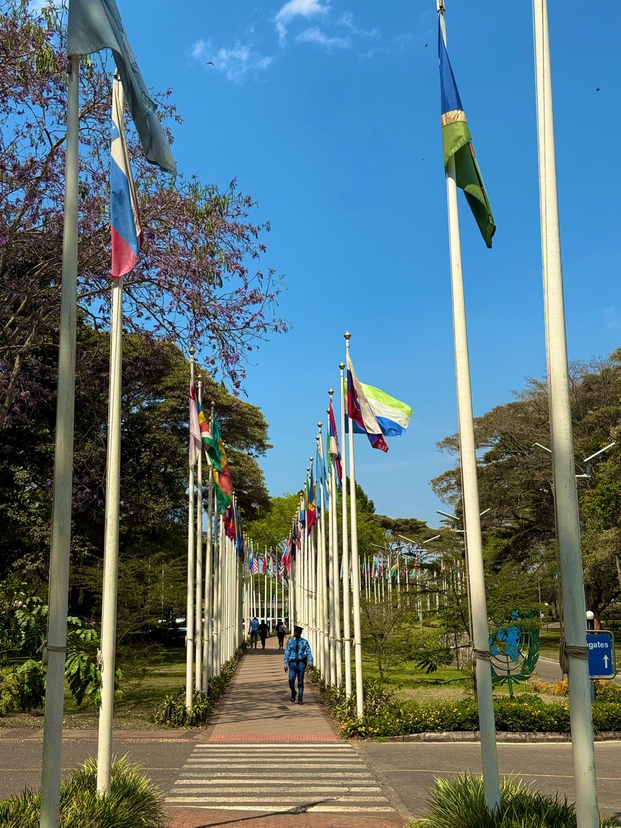 WengZoe's tweet photo. I really miss that wonderful weather in Nairobi. https://t.co/WMq7Uw780q