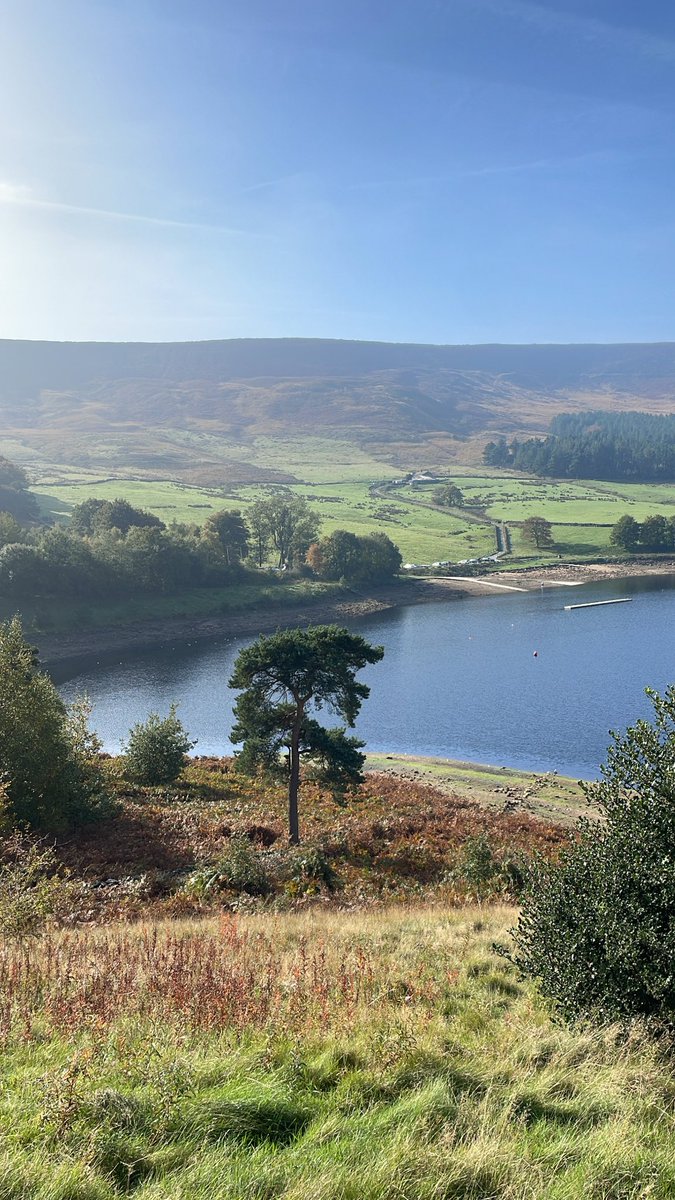 Abdullah tweet media