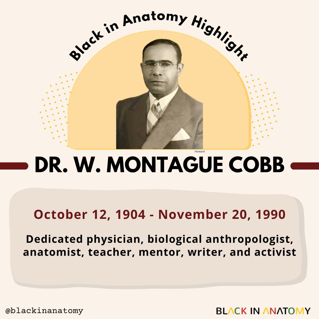 blackinanatomy's tweet photo. Today, on his birthday, we celebrate an inspirational Black anatomist whose legacy guides #BlackinAnat to this day.
Please enjoy this tribute to Dr. W. Montague Cobb shared during our first #BlackinAnatWeek in October 2021!
https://t.co/ORiEuPlUv1
#AnatomyArtAdvocacy #CobbPanel https://t.co/Az65KTxvD7