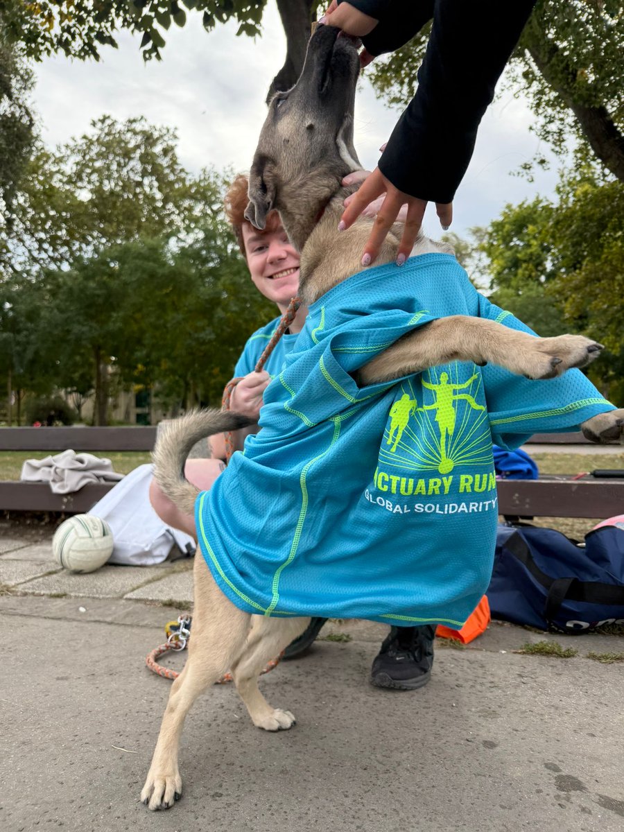 irlembbudapest's tweet photo. Köszi to the brilliant Budapest Gaels (&amp; canine members of our community) who togged out for the #GlobalSolidarityRun, joining Irish across the globe in affirming solidarity with all those who are forcibly displaced or living in extreme poverty. https://t.co/W0PaB7Mi5J