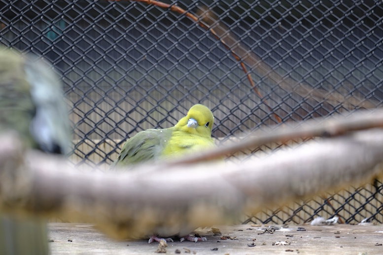 さかもと天助 on X