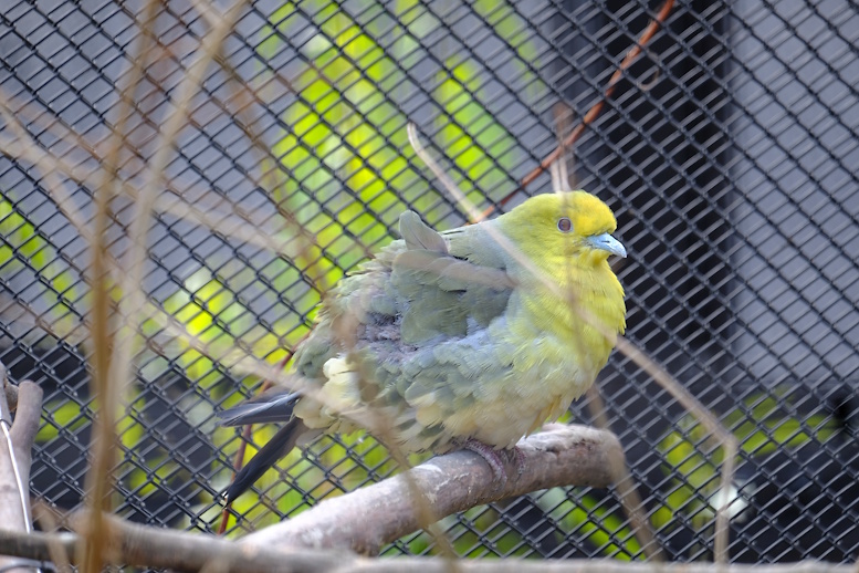 さかもと天助 on X