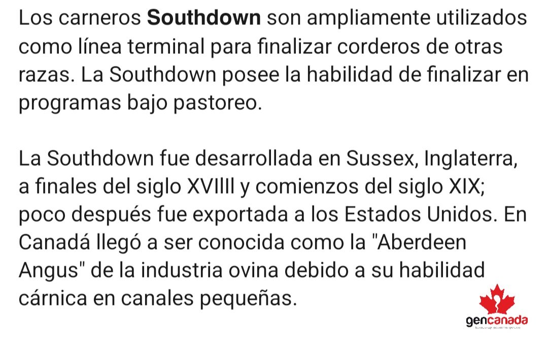 Maravillosa raza para programas en pastoreo y para arreglos silvopastoriles y cultivos transitorios. Línea terminal de gran docilidad.

Info@gencanada.com 📢