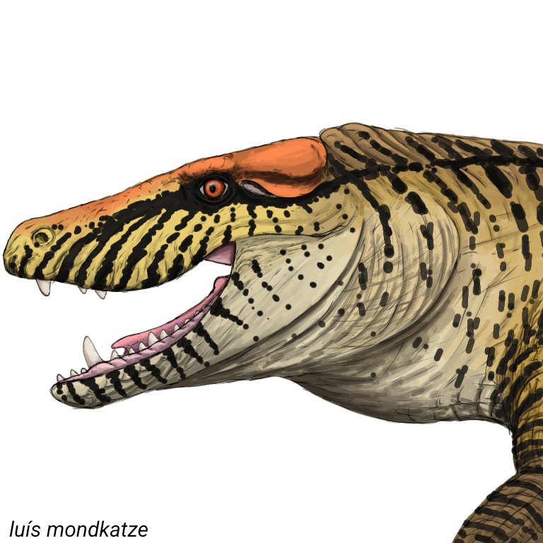 #Barinasuchus arveloi.

 During the Miocene, sebecids began to decline in diversity, but among the last remnants of the group on the South American continent, we had the largest of them all.

The successor to T. rex, BARINASUCHUS!
#paleoart