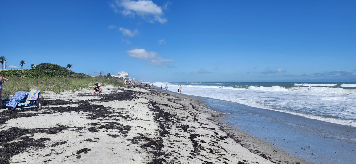 WeatherManSeek's tweet image. Despite Melbourne Beach barely having a beach tourists and visitors are still enjoying it. @NbergWX @TMainolfiWESH @FLStormChasers_ @spann #FLwx #wxtwitter.