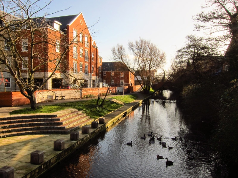 PickerelProject's tweet image. Action Day next Sunday 19th October from 10am, moving fallen trees and other hard work - come and join in if you can. Meet by the river at the Navigation Approach bridge