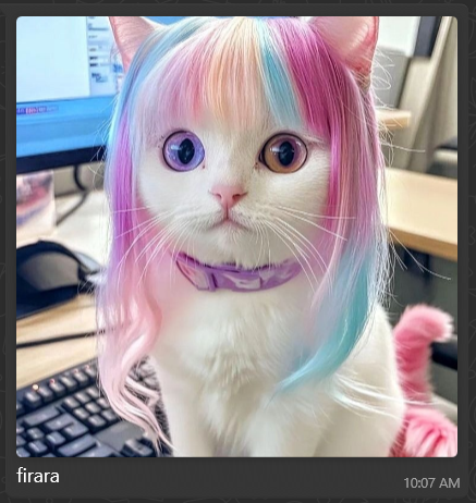 OMG MY FRIEND SAID THIS CAT(AI) LOOKS LIKE ME!! Do you guys see it too?! XDD
