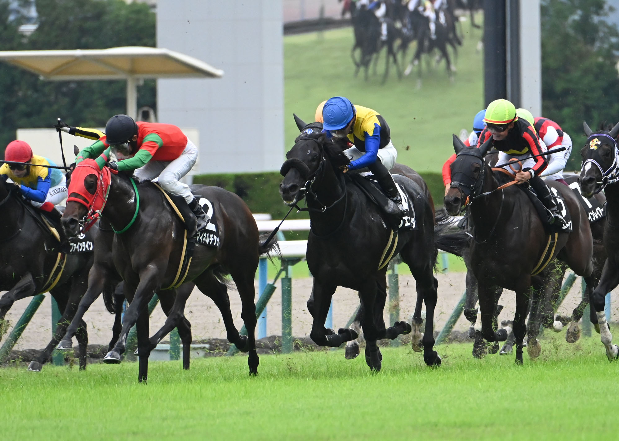 合馬公式アカウント3 ページ 合馬公式アカウント3 合馬公式アカウント1 ページ 合馬公式