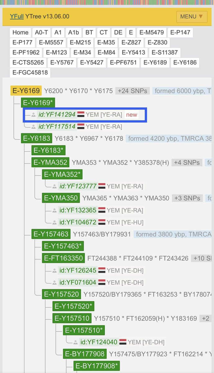 E-M84(P) tweet media