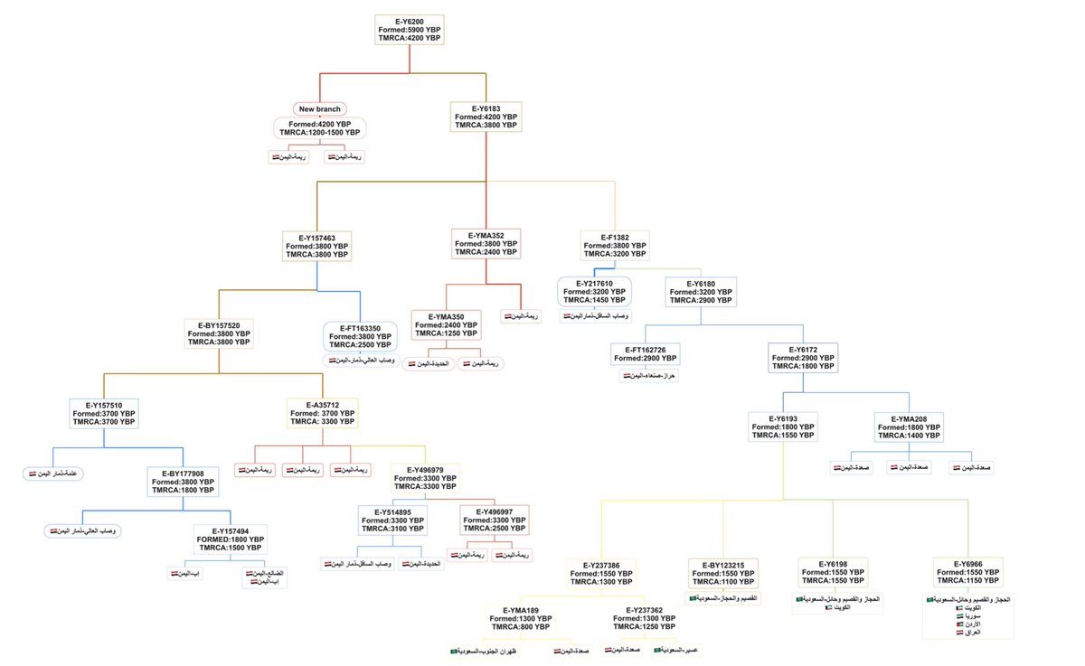 E-M84(P) tweet media