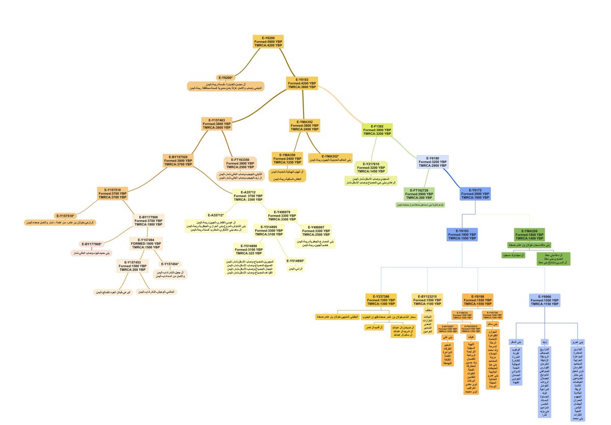 E-M84(P) tweet media