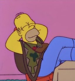 Los Simpsons predijeron el poncho de mi viejo… Estoy estallado ja!! 🤣