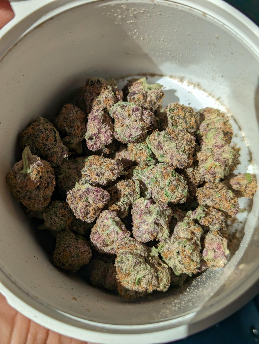 ArdoinTony69689's tweet image. Grimace Blood #3 #WriteWeed #StonerFam #PPP #PuffPUffPass