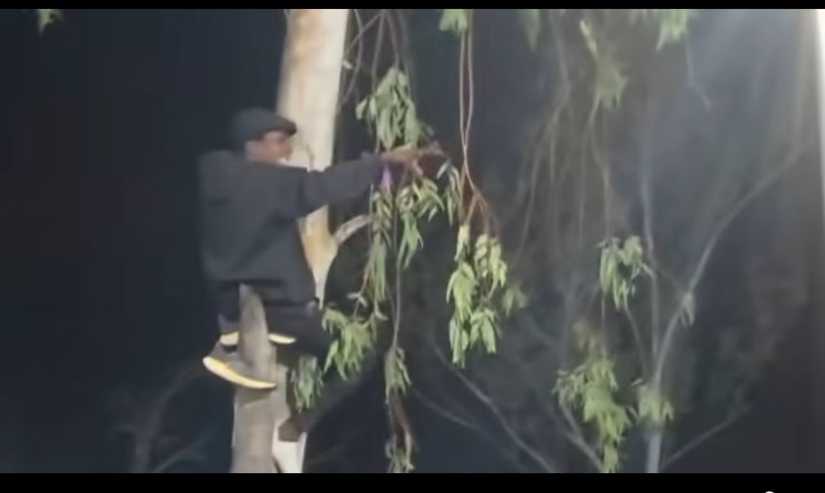 Chisiiwagift's tweet image. Chibaba icho chiitireiwo something please